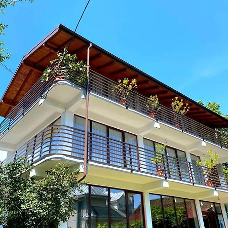 ホテル Casa Ionut Borşa エクステリア 写真
