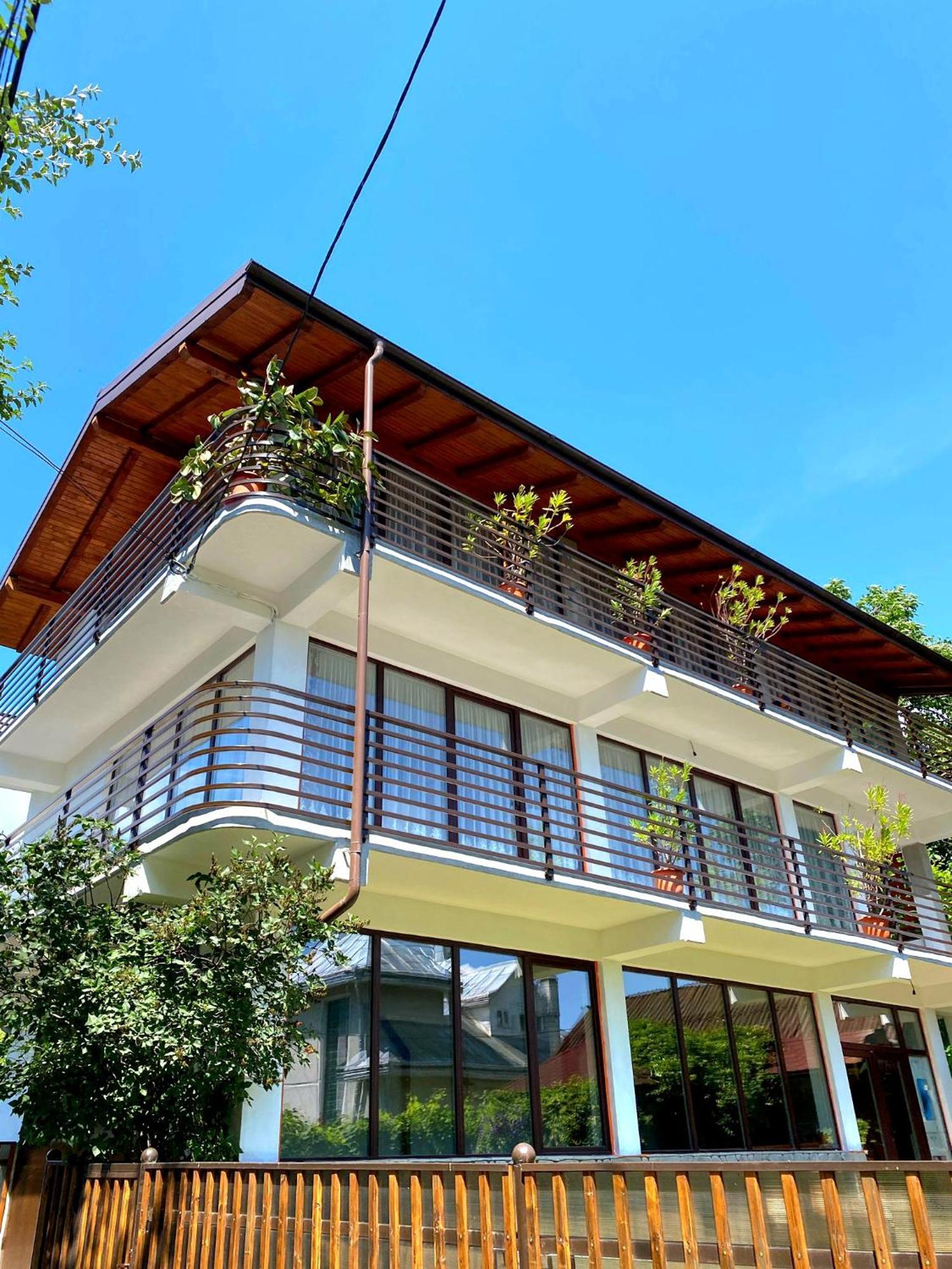 ホテル Casa Ionut Borşa エクステリア 写真