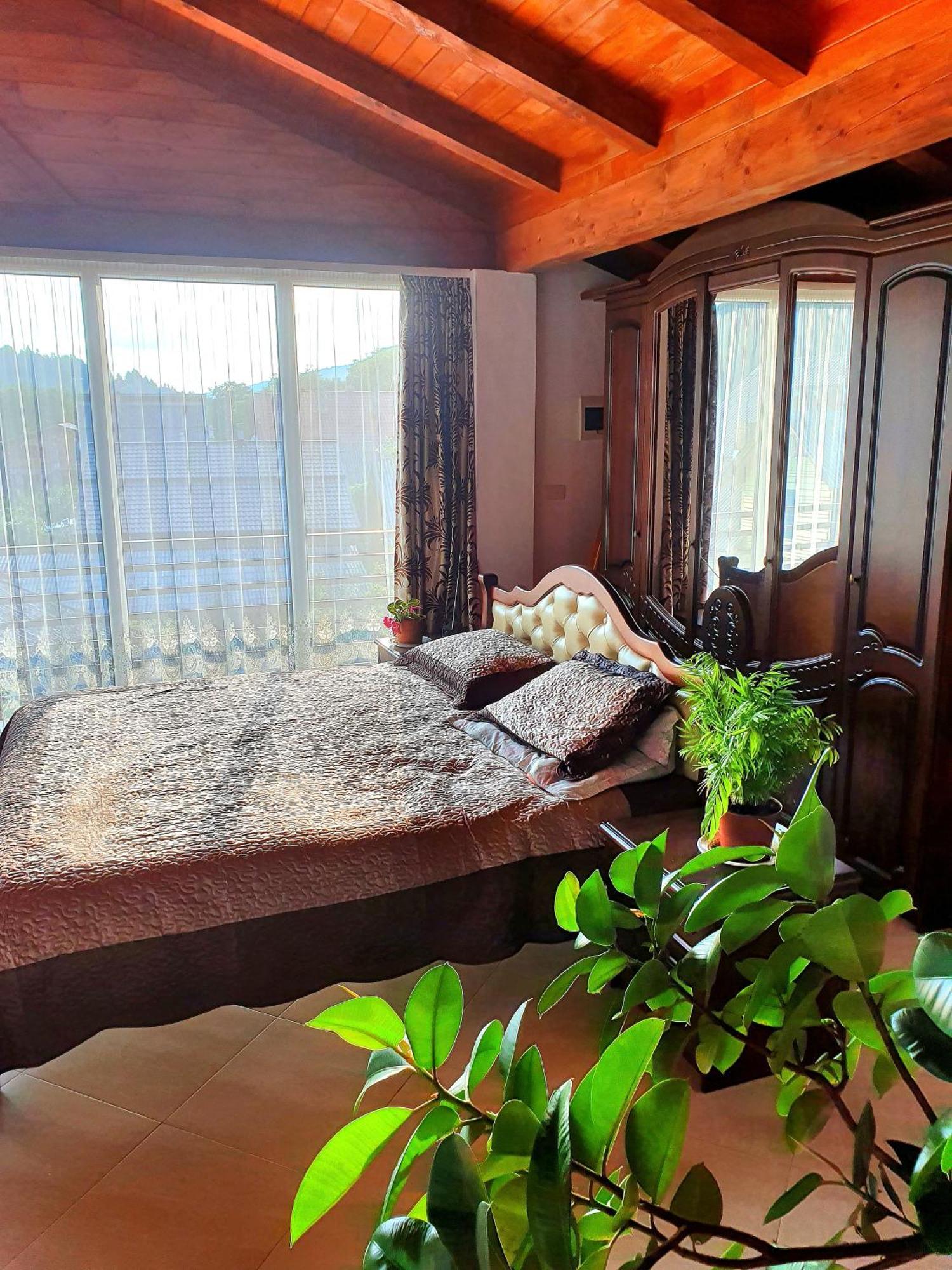 ホテル Casa Ionut Borşa エクステリア 写真