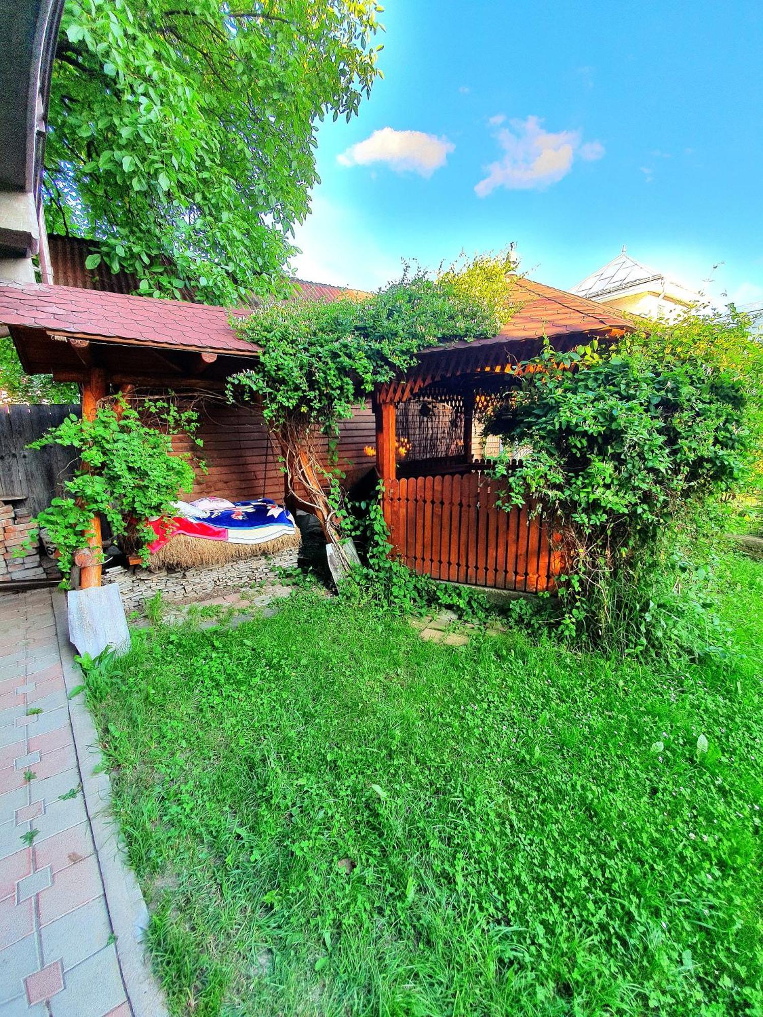 ホテル Casa Ionut Borşa エクステリア 写真